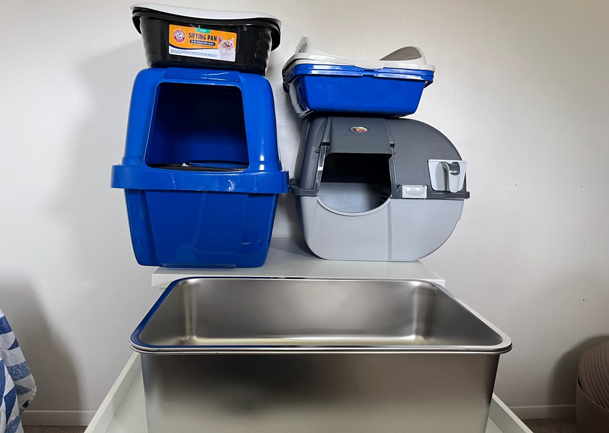 7 Best Sifting Litter Boxes