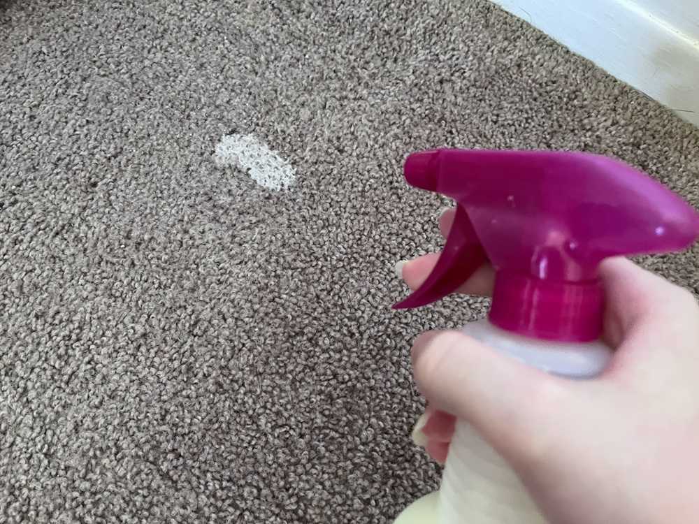 Angry Orange Pet Odor Eliminator