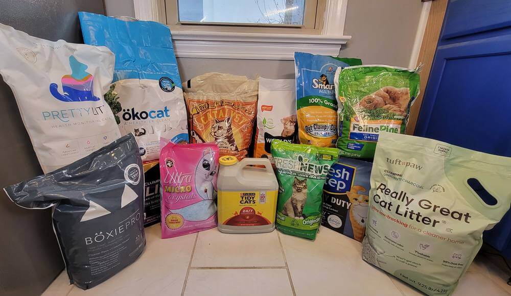 best cat litter products