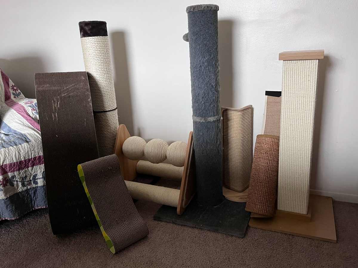 best cat scratcher featured image