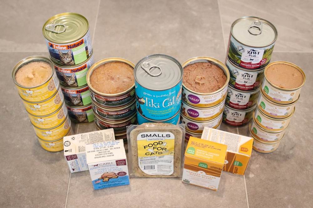 Best Wet Canned Cat Food 2025 Review Roundup Approach Taste Test