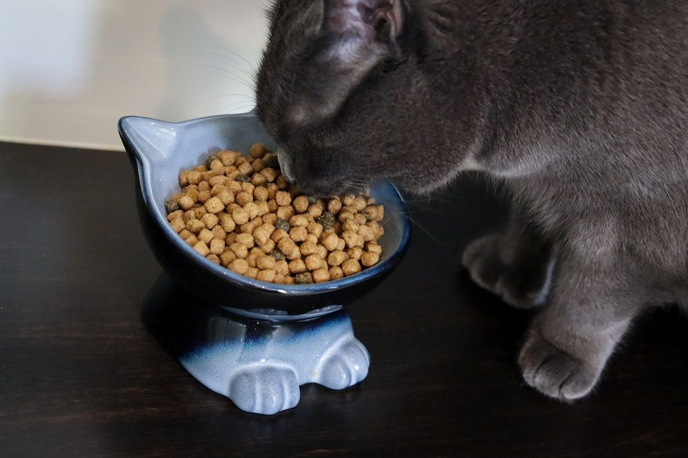 Blue Buffalo Tastefuls Adult Indoor Cat Chicken & Brown Rice Recipe Adult Dry Kibble Cat Food