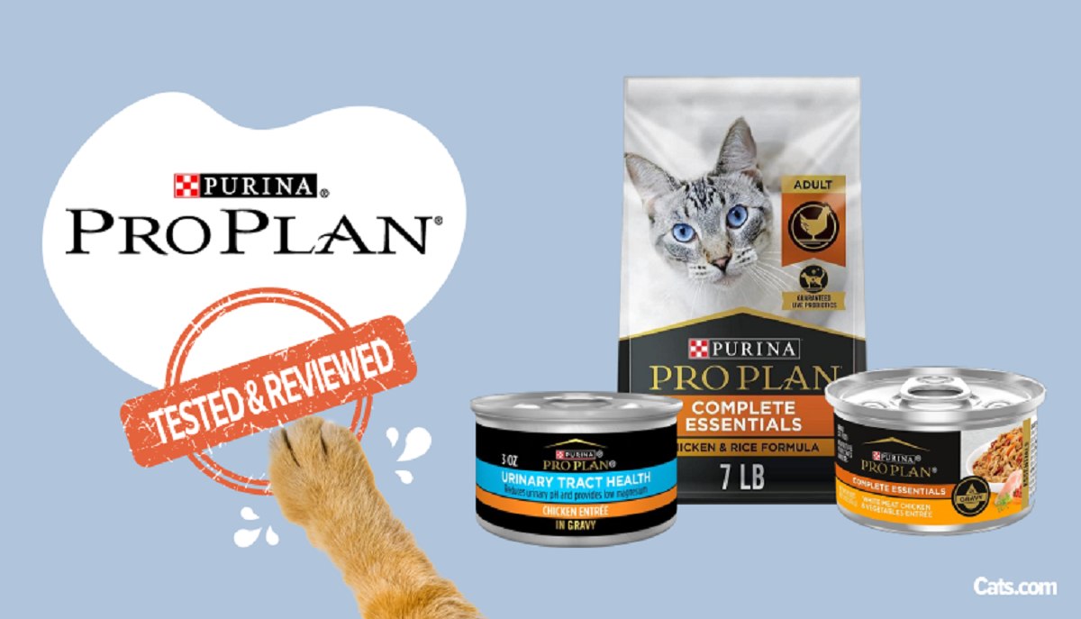 Purina Pro Plan Cat Food