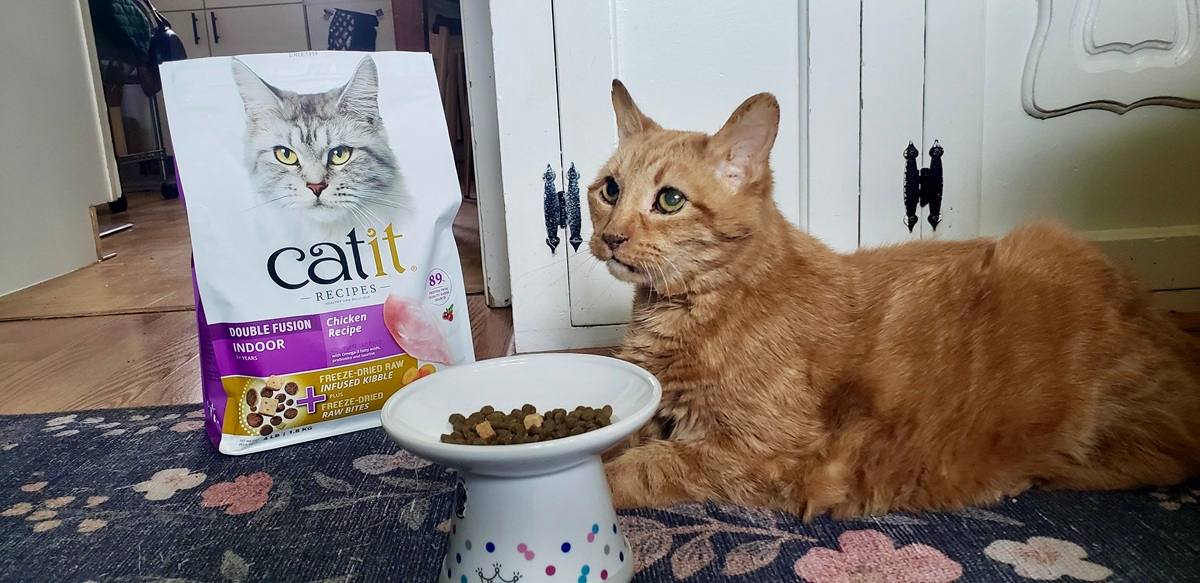 Catit Double Fusion Indoor Cat Food