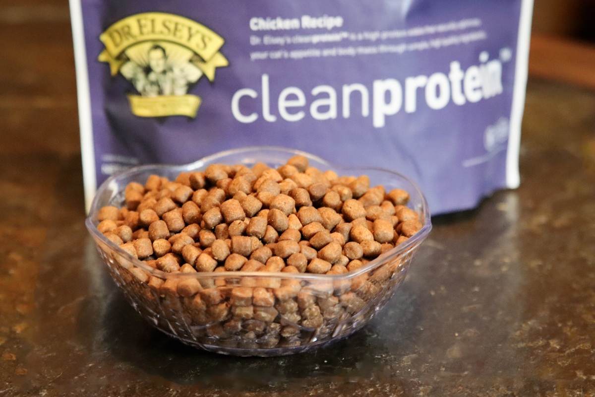 Dr. Elsey's Clean Protein Chicken Recipe Dry Cat Food Close Up Kibble