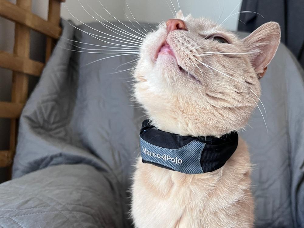 Eureka Marco Polo Advanced Pet Tracker