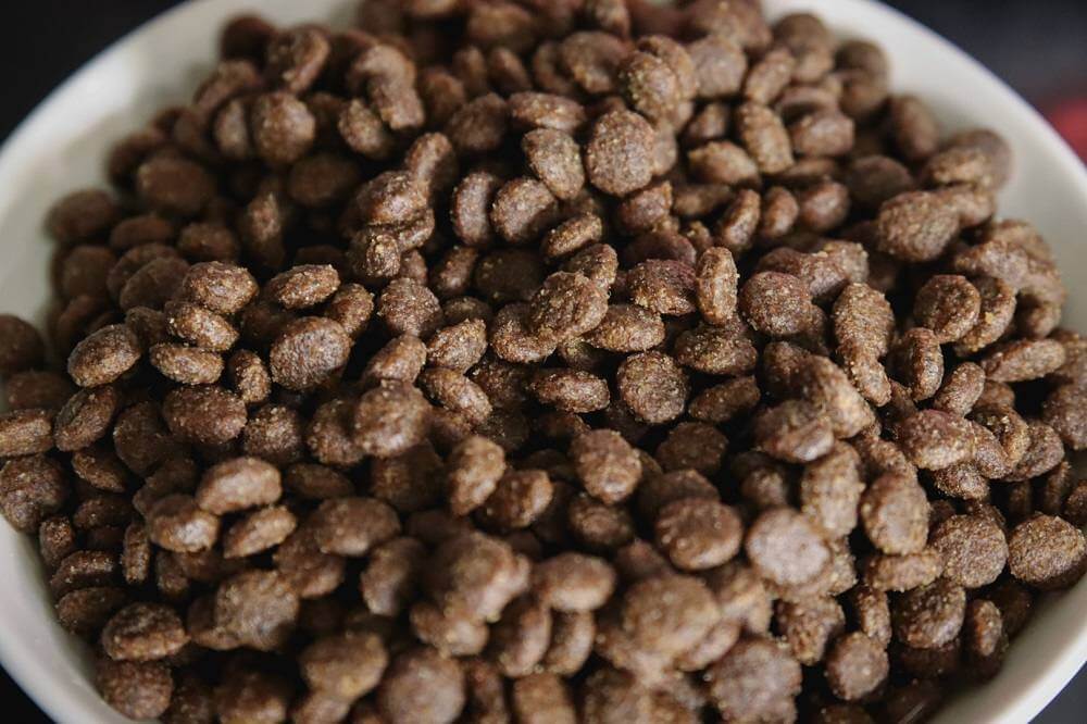 Farmina Natural & Delicious Chicken Grain-Free Formula Dry Cat Food