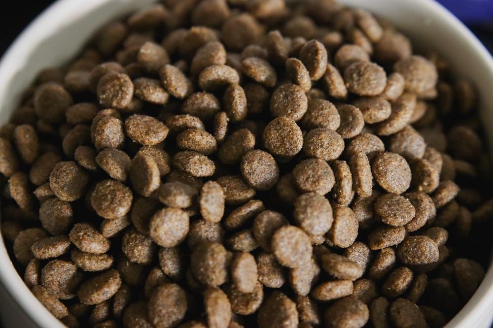 Farmina Natural & Delicious Lamb Grain-Free Formula Dry Cat