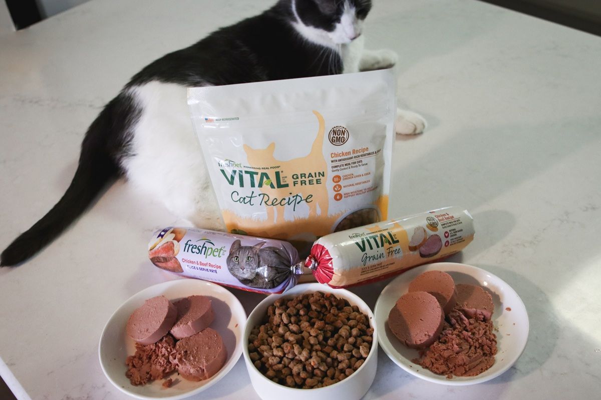 Freshpet Cat Food Brand Review