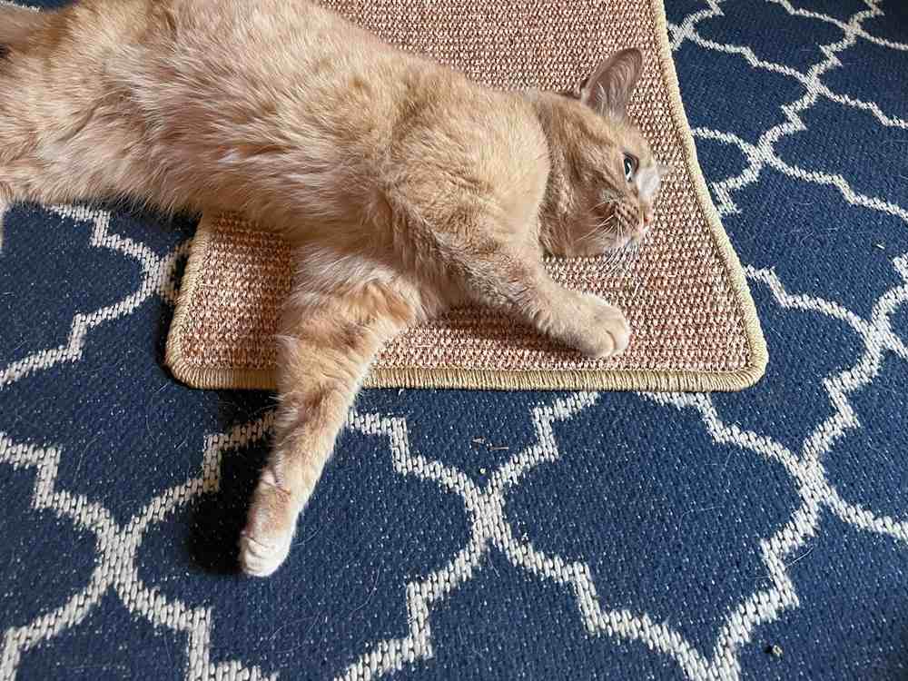 FUKUMARU Cat Scratcher Mat