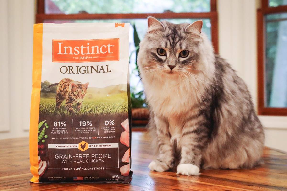 Grey Siberian With Instinct Original Grain Free Recipe With Real Chicken Dry Kibble Cat Food