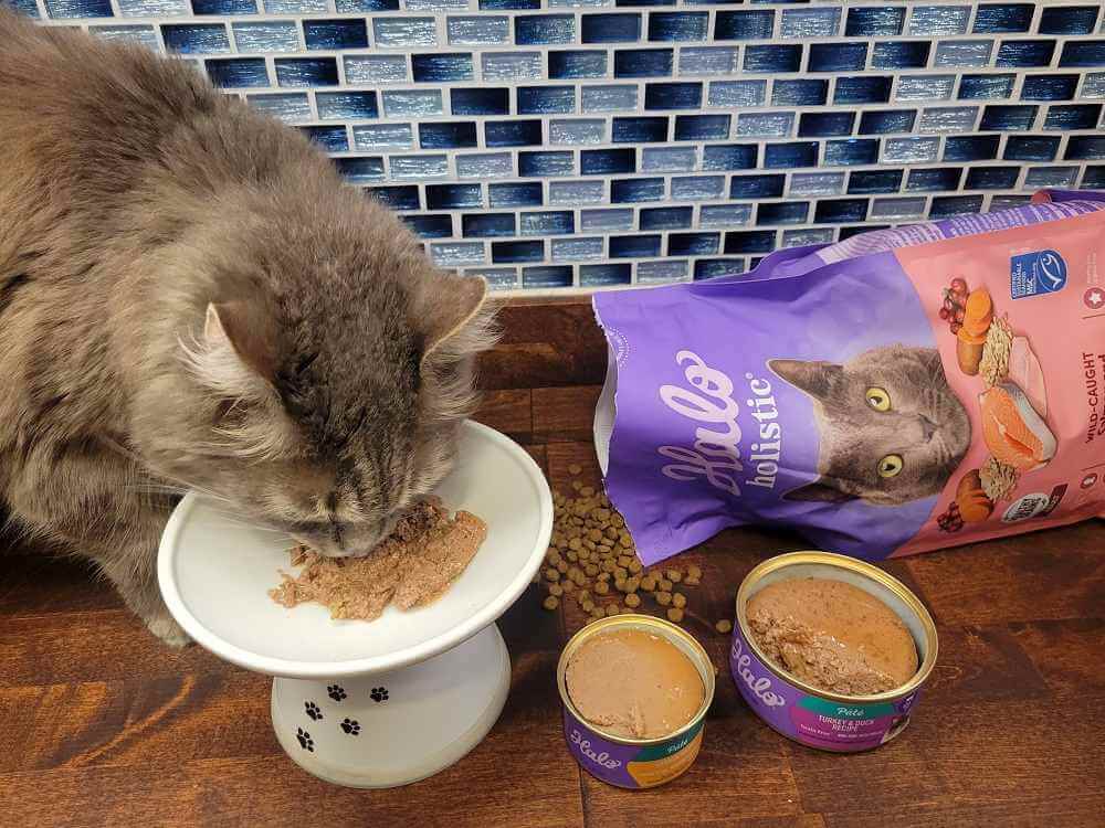 test Halo cat food