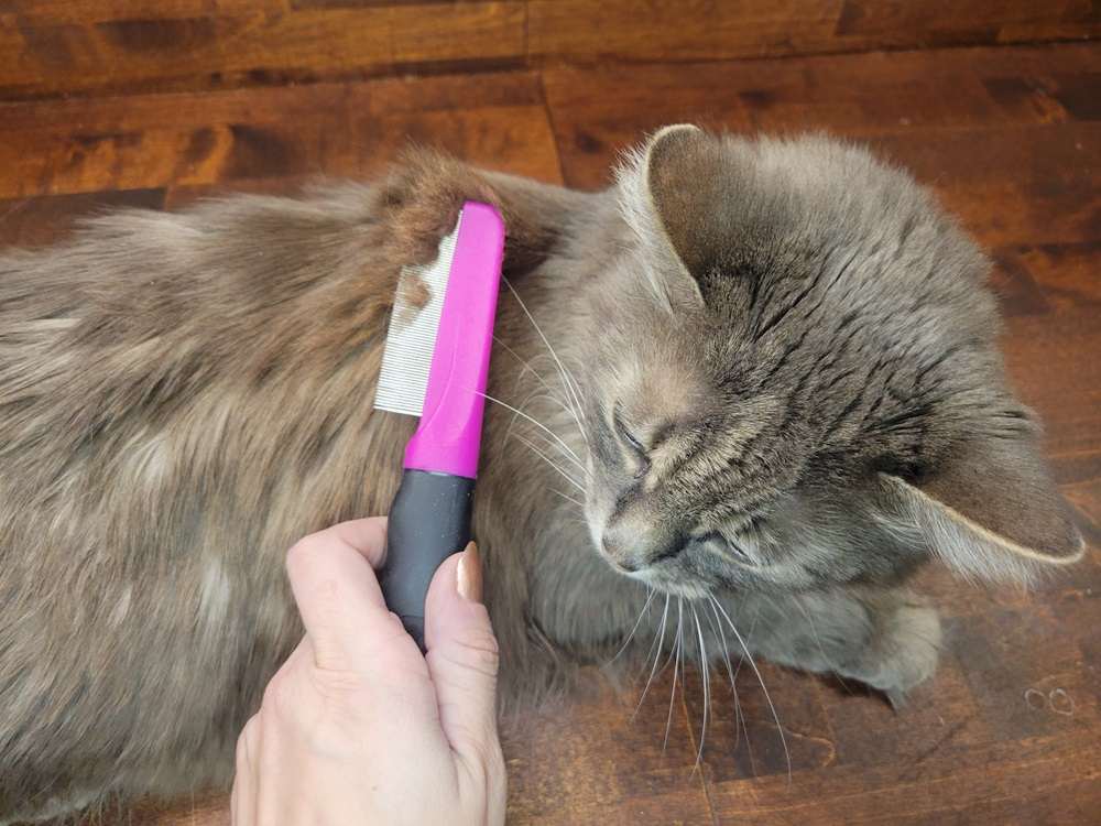 Hartz Groomer’s Best Flea Comb for Dogs & Cats