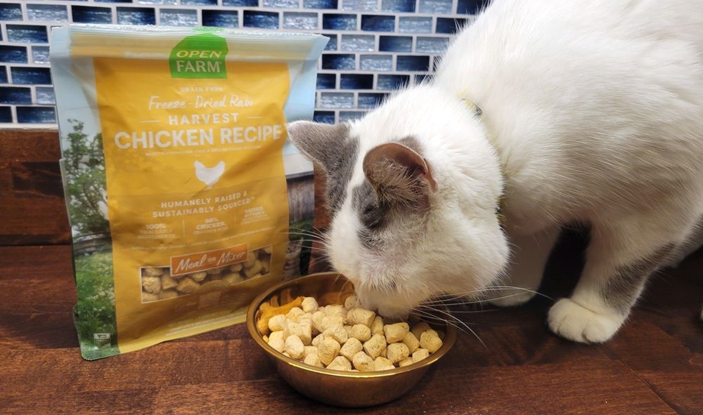 Harvest Chicken Freeze-Dried Raw Morsels