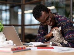 An image symbolizing the concept of healing and recovery. The image might show a Cat&reg;168极速赛车正规信誉老平台 in a relaxed pose, perhaps lying down with closed eyes, as if in a state of rest and recuperation.