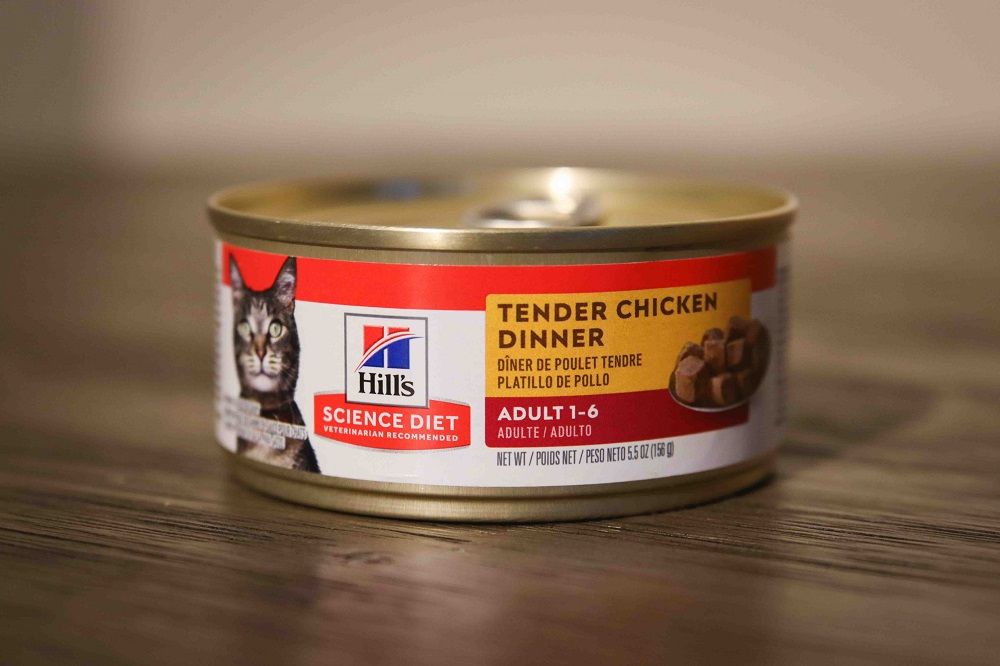 Hill’s Science Diet Adult Tender Dinner Chunks & Gravy Cat Food