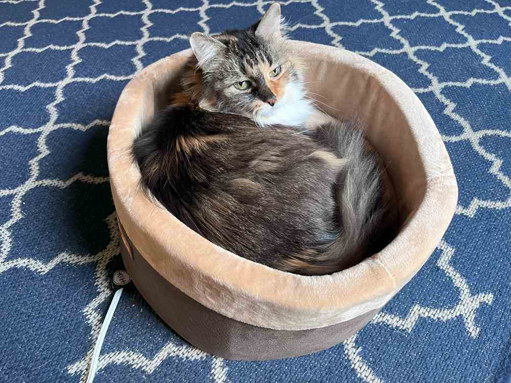 K&H Pet Products Thermo