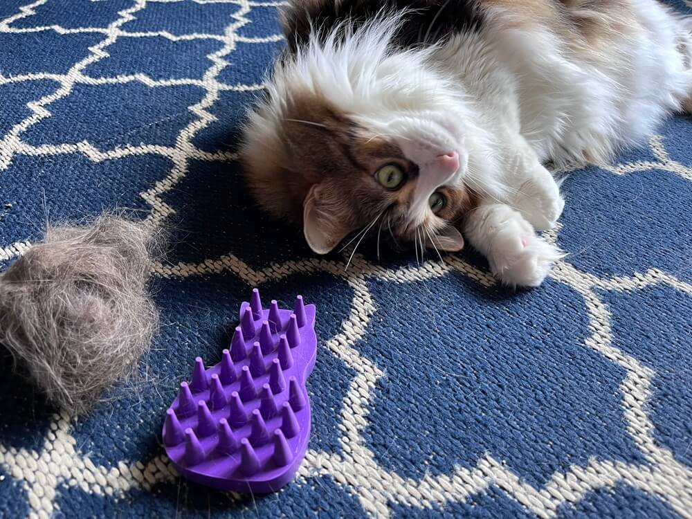 KONG Cat ZoomGroom Brush