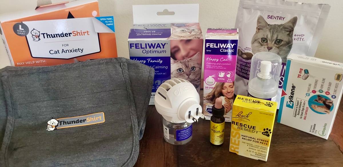 lineup of six tested cat calming aids