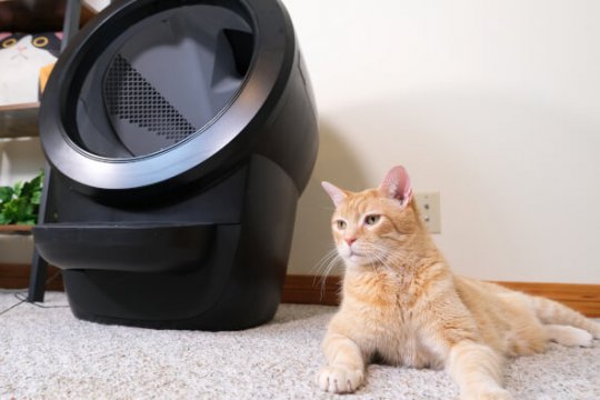 How Does the Litter-Robot Work?