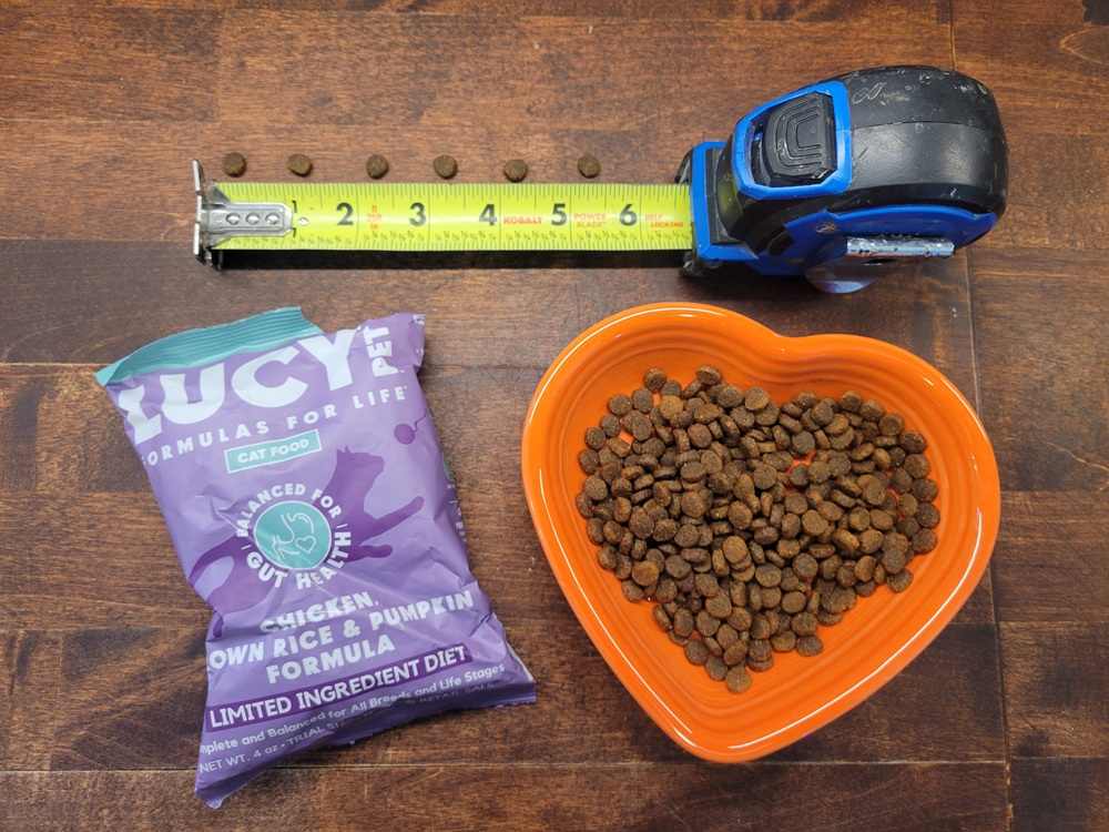 Lucy Pet Chicken, Brown Rice & Pumpkin Limited Ingredient Formula Dry Cat Food