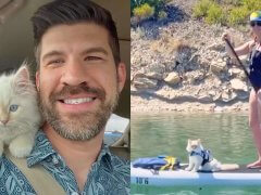 Meet Finn, the Water-Loving Adventure Cat