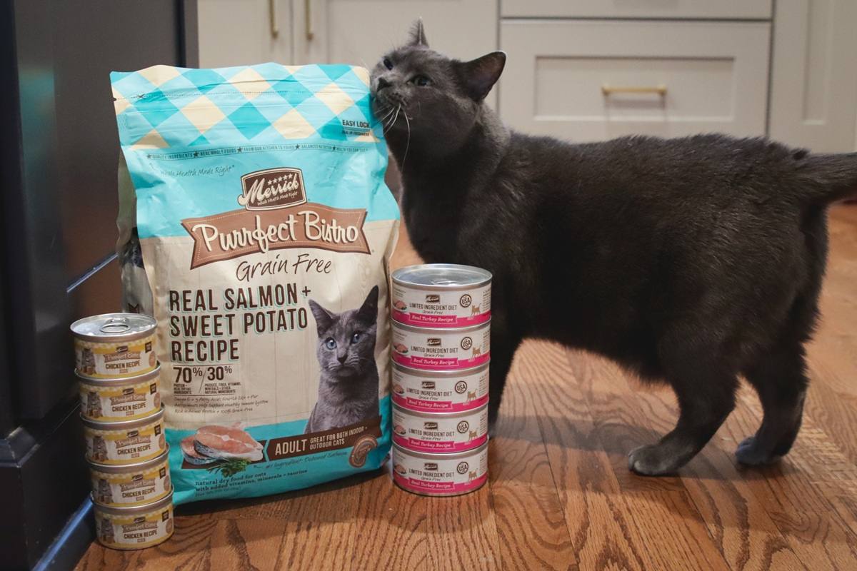 Merrick Cat Food Brand Review Roundup