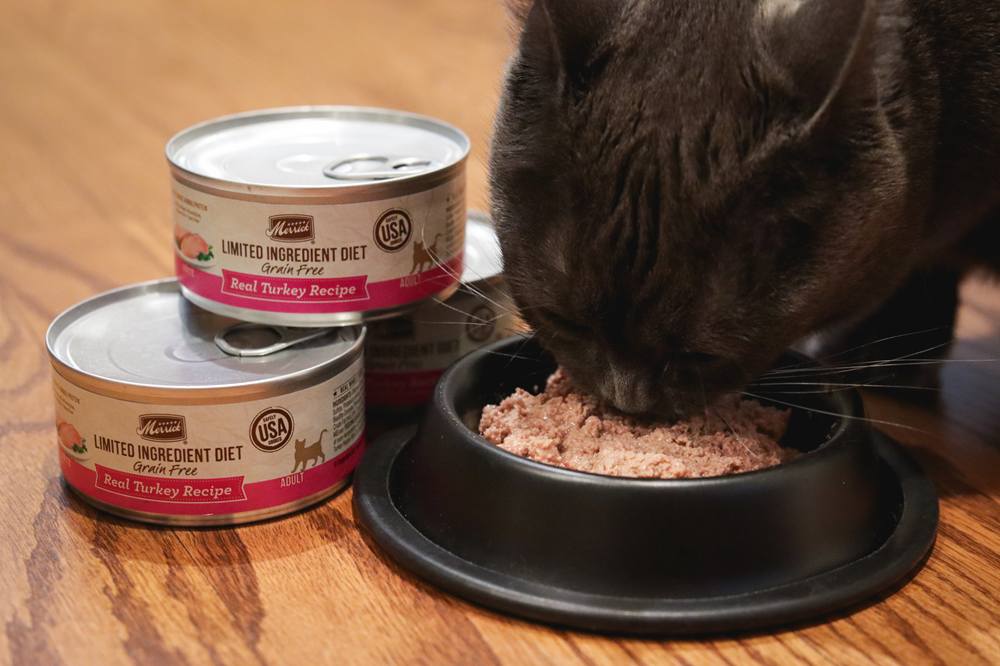 Merrick Limited Ingredient Diet Grain-Free Real Turkey Recipe Canned Food