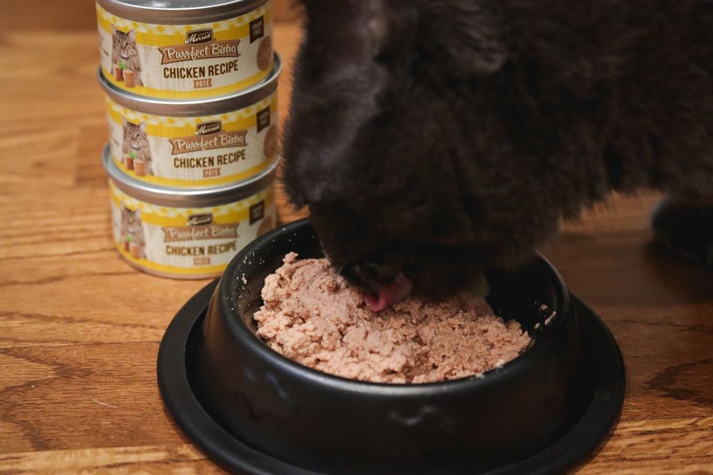 Merrick Purrfect Bistro Chicken Recipe Pate Wet Canned Cat Food