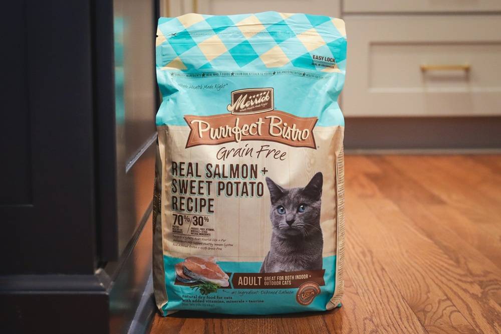 Merrick Purrfect Bistro Grain-Free Real Salmon + Sweet Potato Recipe Adult Dry Cat Food