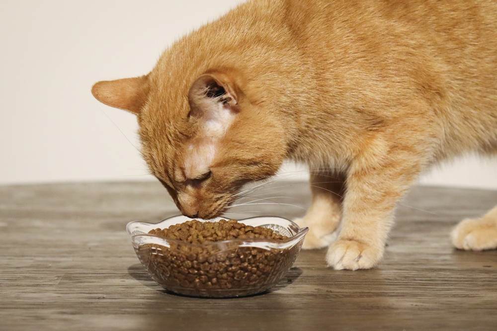 Nulo Freestyle Duck & Lentils Grain-Free Indoor Dry Cat Food