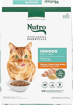 Nutro Wholesome Essentials Chicken & Brown Rice Recipe Indoor Dry Cat Food