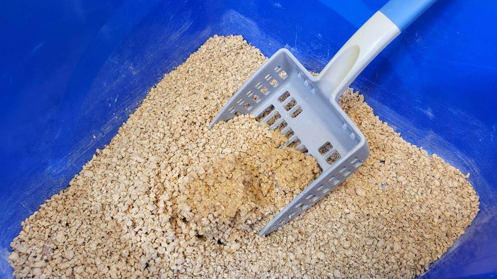 Okocat Original Premium Wood Clumping Cat Litter