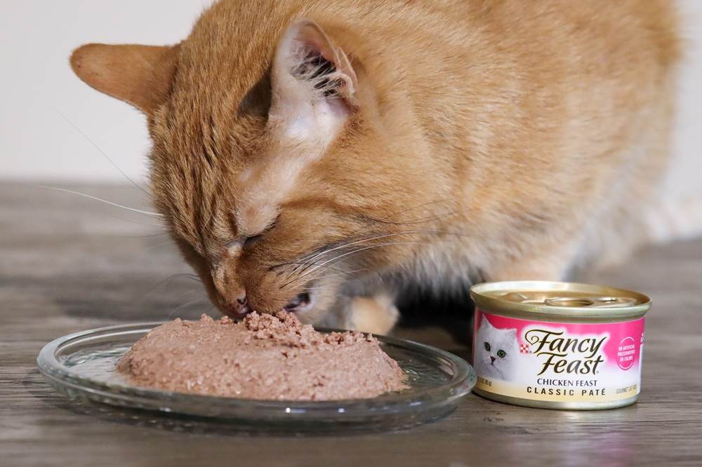 Fancy Feast Wet Canned Cat Food Chicken Feast Classic Pate