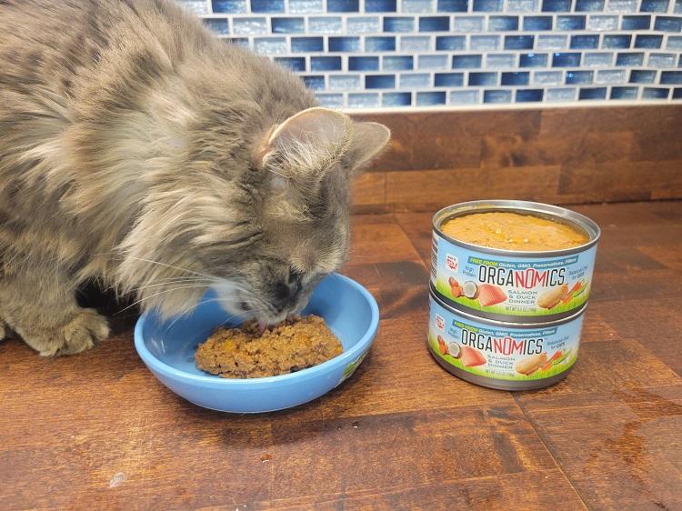 OrgaNOMics-Salmon-Duck-Dinner-Grain-Free-Pate-Wet-Cat-Food