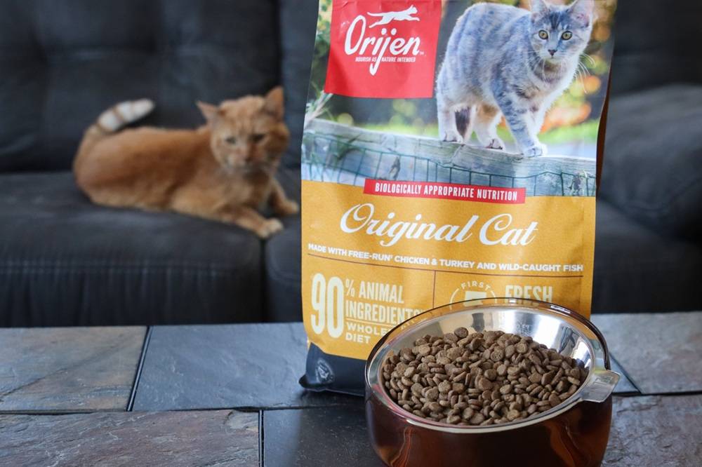 Orijen Original Cat Dry Kibble Food