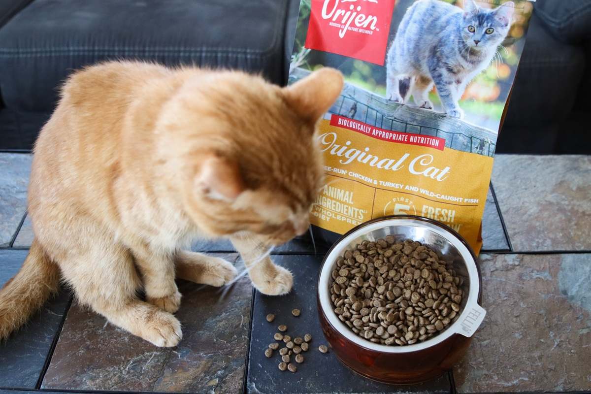 Orijen Original Cat Dry Kibble Food