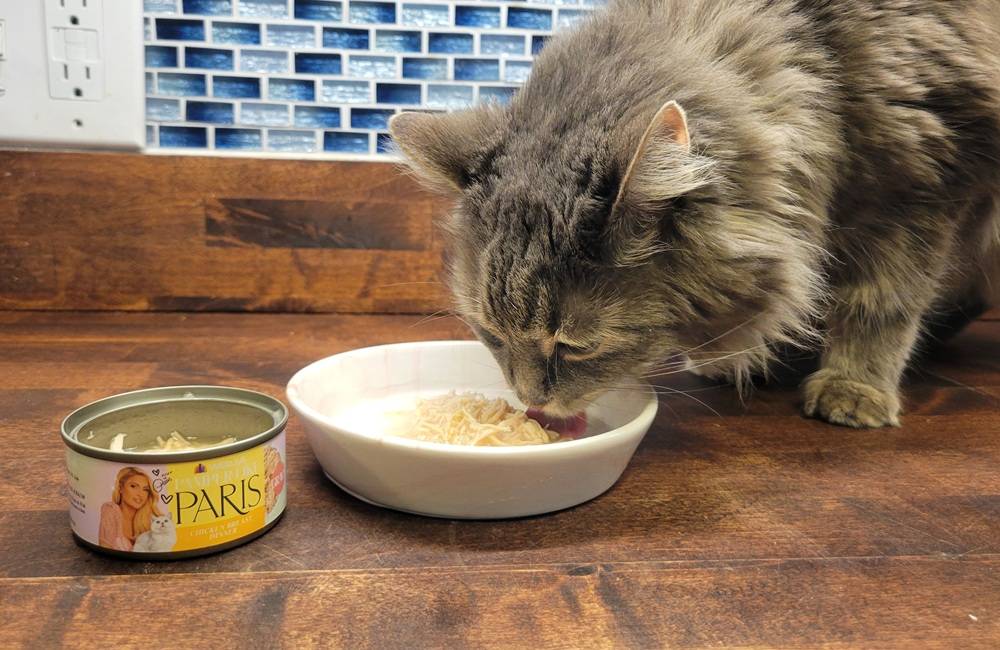 Pamper Like Paris Chicken Breast Dinner in Gravy Wet Cat Food