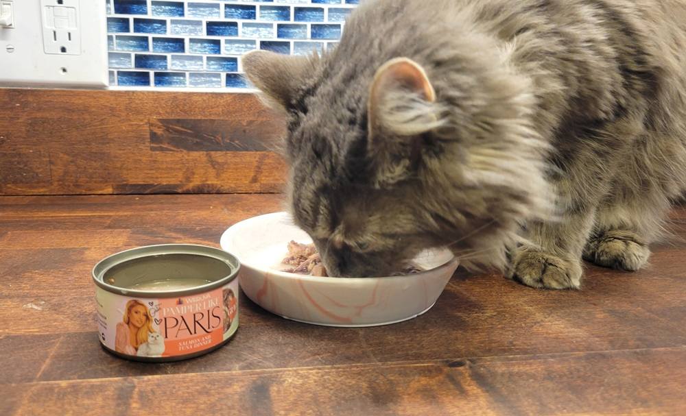 Pamper Like Paris Salmon and Tuna Dinner in Gravy Wet Cat Food