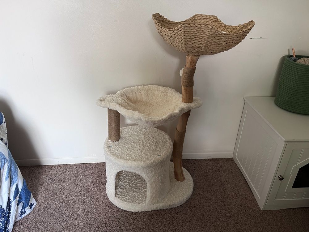 PAWZ Road Modern Luxury Cat Tree & Condo