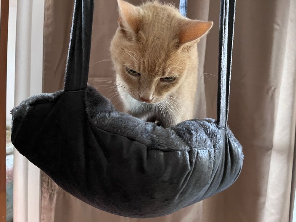 Pet Life Kittyhaus Dual-Lounger Cat Pillow Hammock