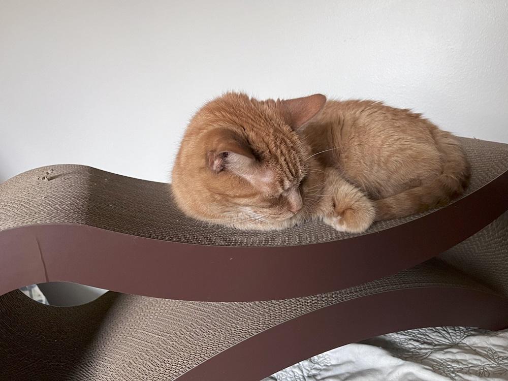 PetFusion Ultimate Cat Scratcher Lounge