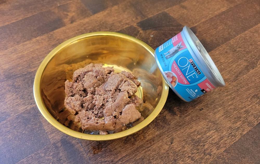 Purina ONE Healthy Kitten Chicken & Salmon Recipe Paté Wet Kitten Food