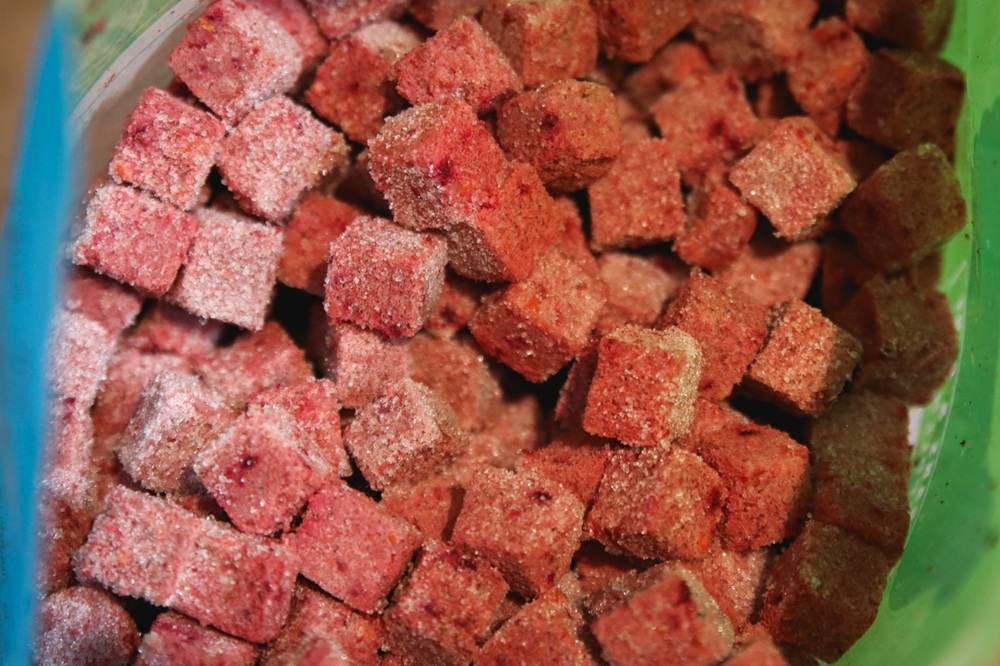 Raw Dynamic Pets Cage Free Chicken Fresh Frozen Cat Food