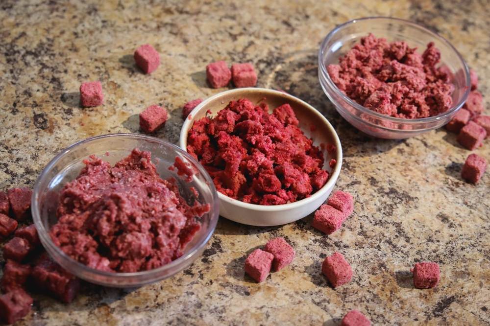 Raw Dynamic Pets Cat Food Brand Review
