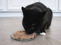 Rawz 96 Percent Turkey & Turkey Liver Pate