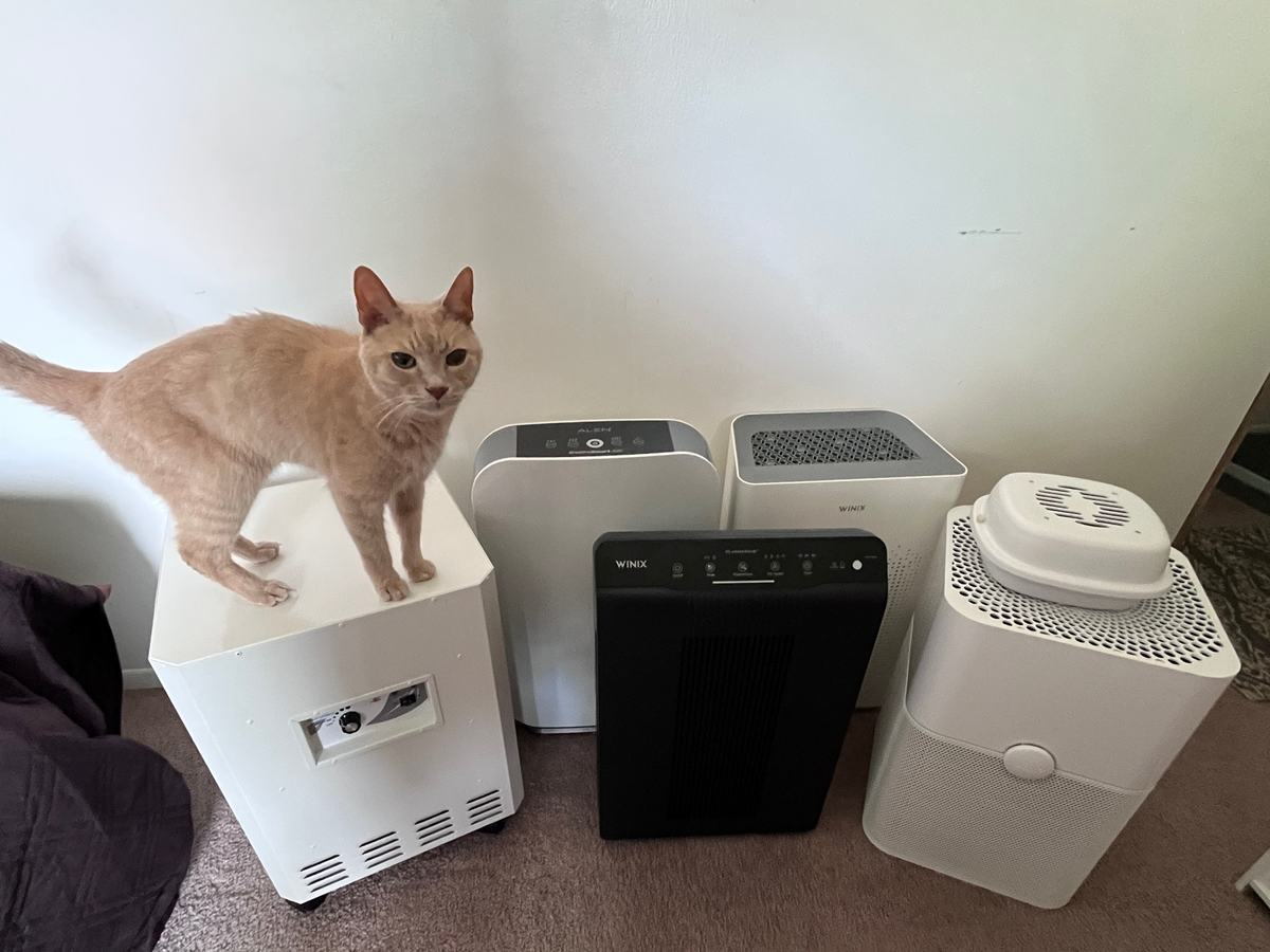 round up of Best Air Purifiers for Cat Hair, Dander and Allergies-compressed