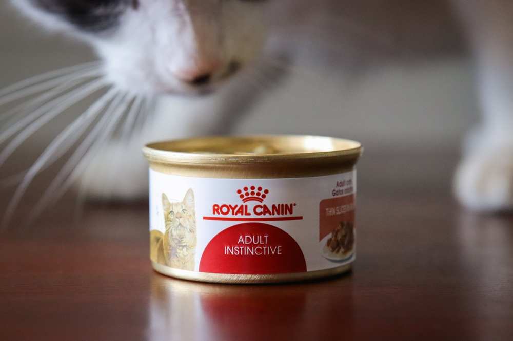 Royal Canin Feline Health Nutrition Adult Instinctive Thin Slices in Gravy Wet Canned Cat Food