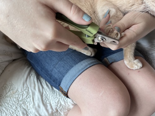 Safari Professional Nail Trimmers