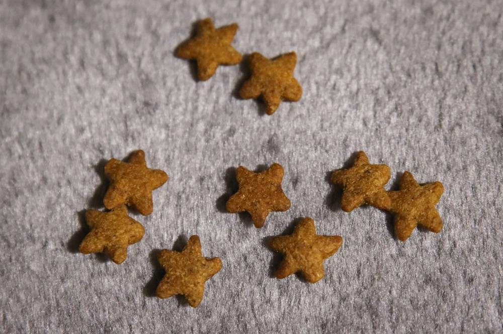 Shameless Catnip N Chill Cat Treats